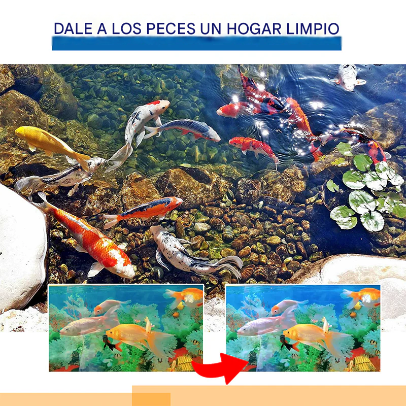 ✨️🐟 Pastillas para eliminar el cloro en estanques y acuarios 🐠