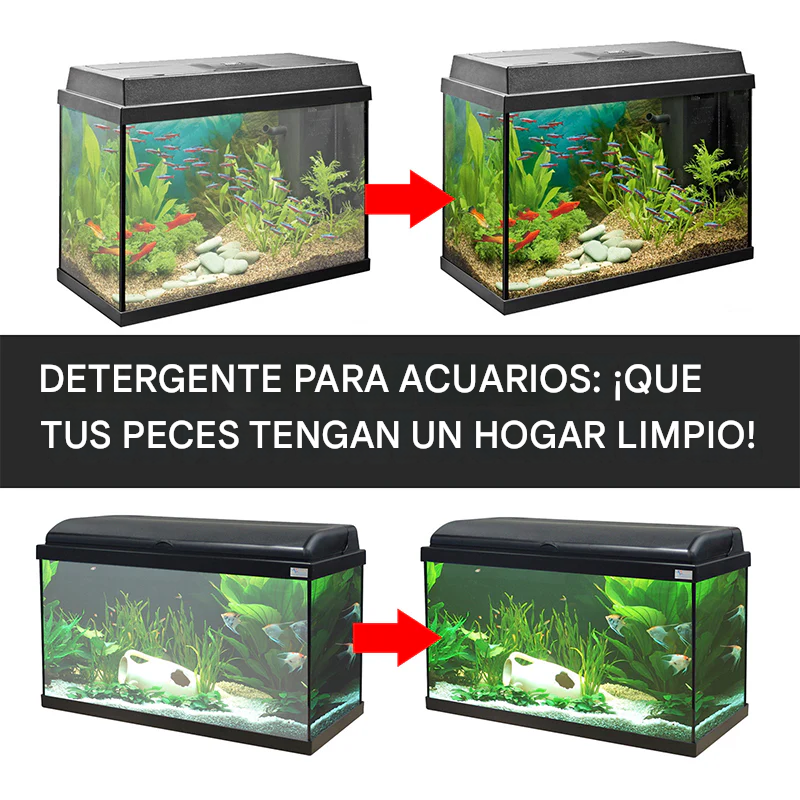 ✨️🐟 Pastillas para eliminar el cloro en estanques y acuarios 🐠