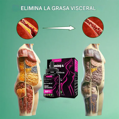 Gotas ADFIRE® Moringa para la pérdida de peso y el aumento de la salud GLP-1